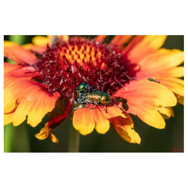 PHOTO84, CLUB, 84 , LUBERON